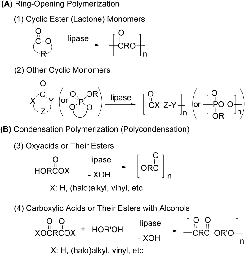 Scheme 2