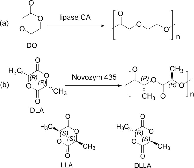 Scheme 7