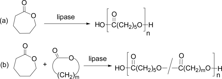 Scheme 5