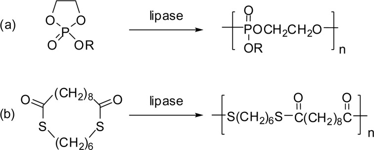 Scheme 25