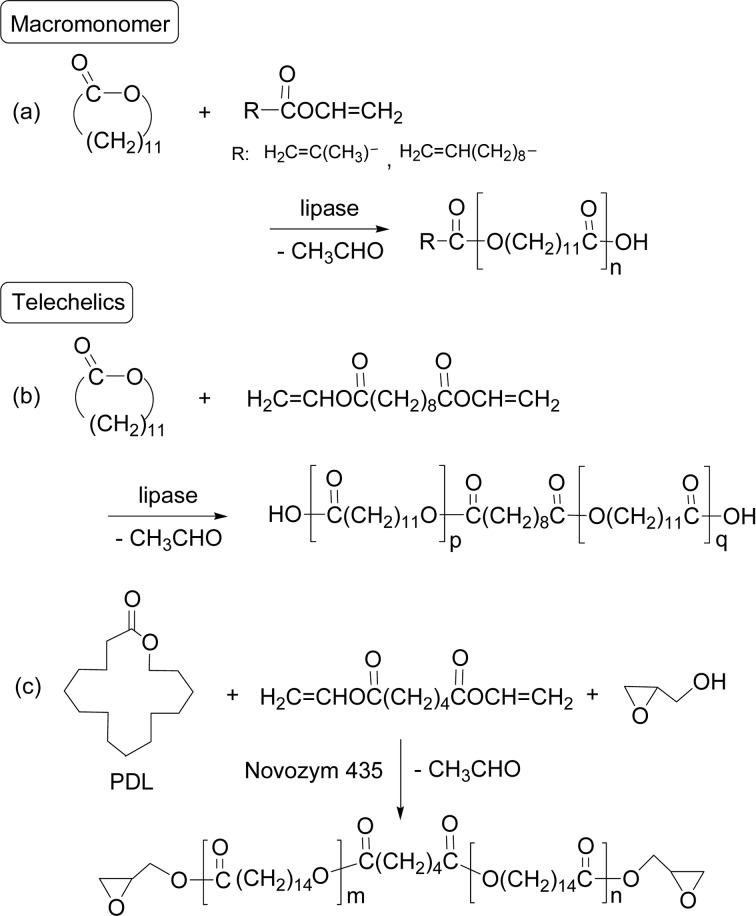 Scheme 17