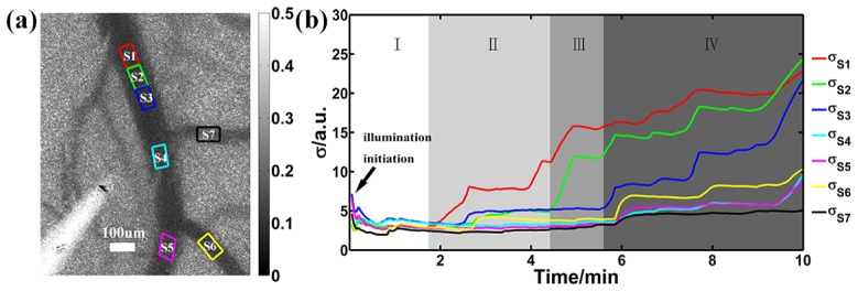 Fig. 6