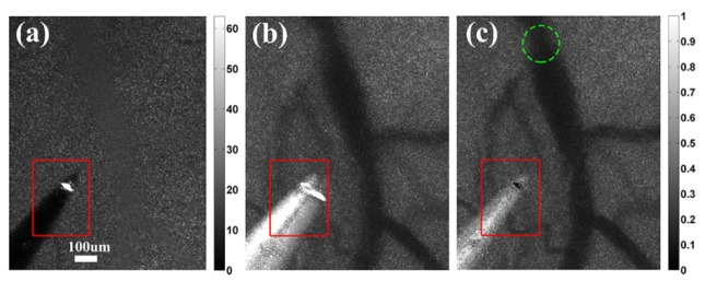 Fig. 2