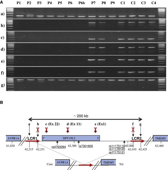 Figure 3