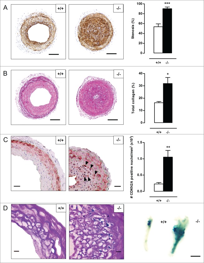 Figure 7 (See previous page).