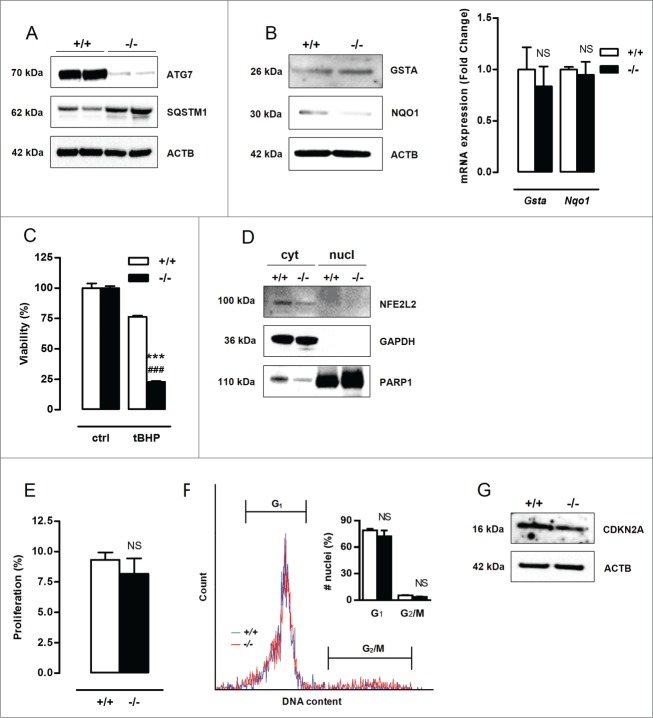 Figure 11.