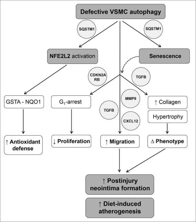 Figure 12.