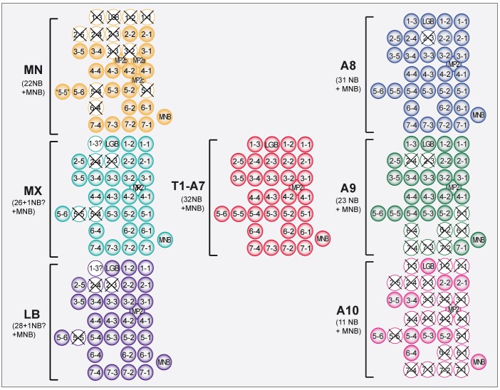 Fig. 7.