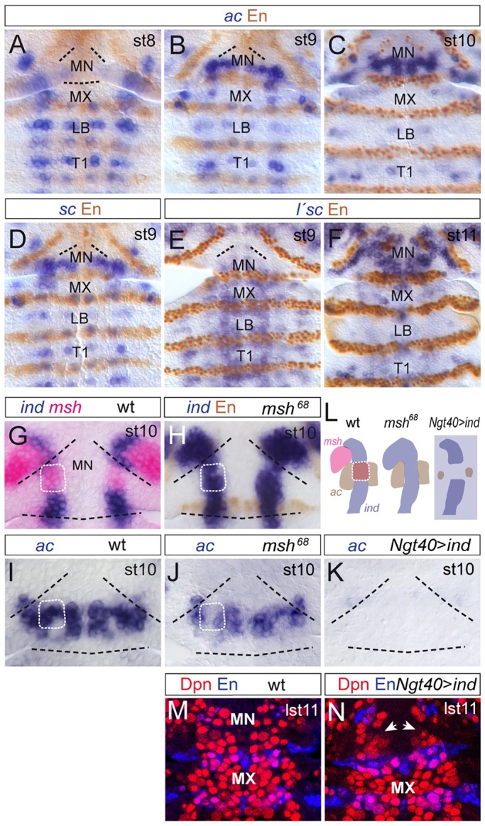 Fig. 6.