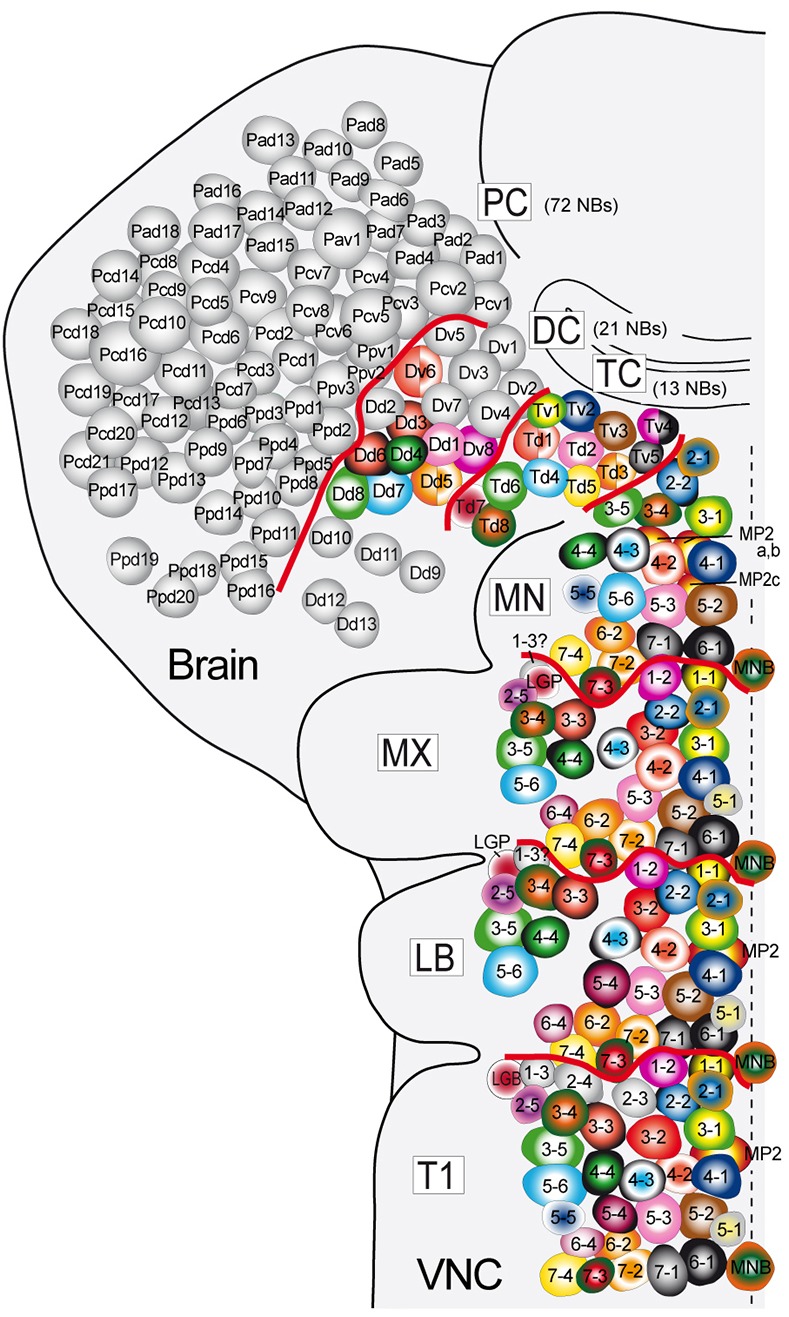 Fig. 4.