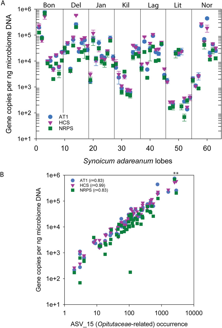 FIG 2