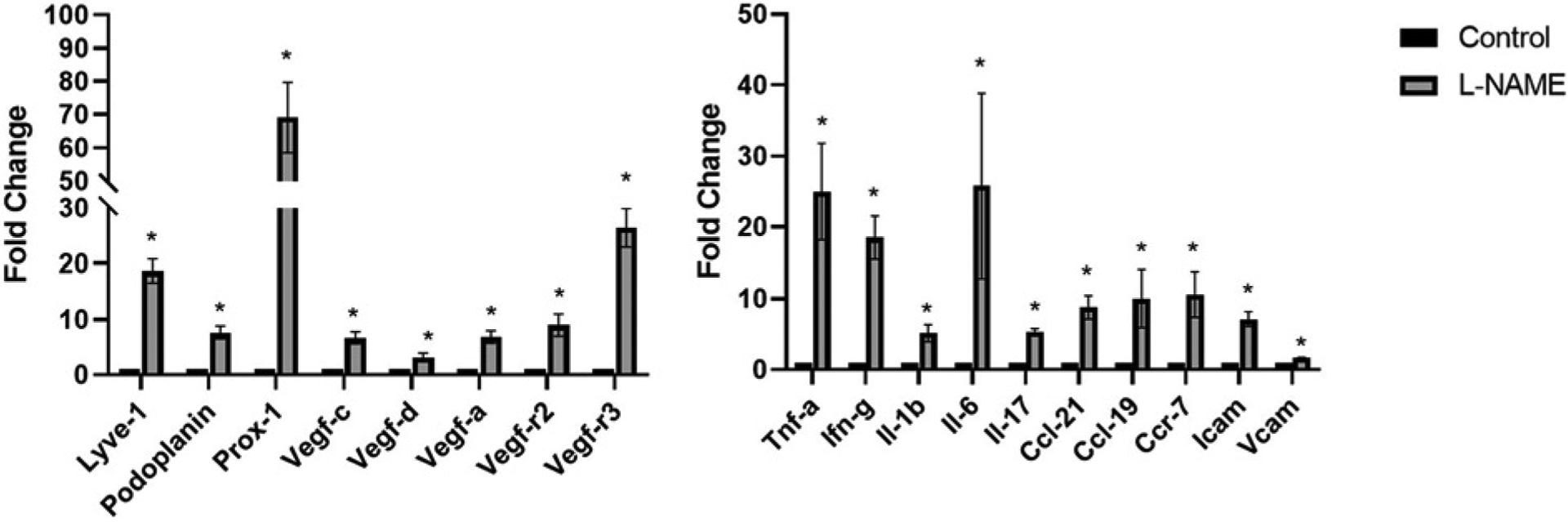 Figure 9.