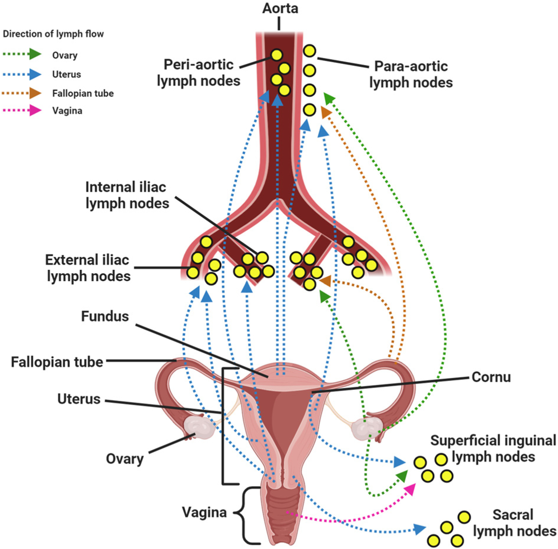 Figure 7.