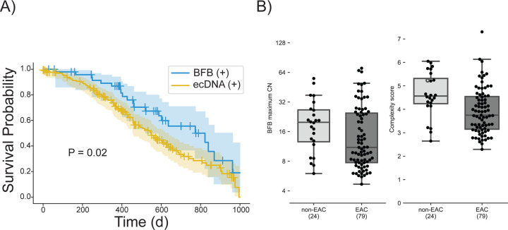 Figure 5: