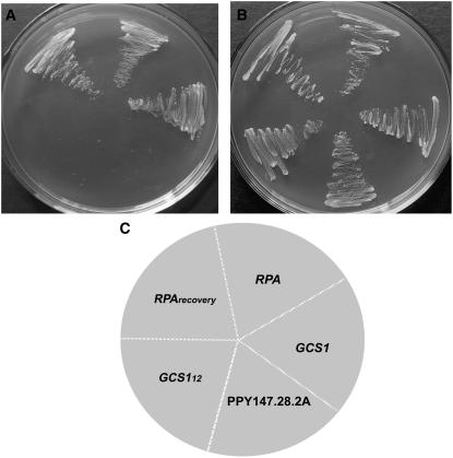 Figure 6.