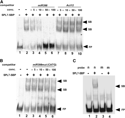 Figure 5.