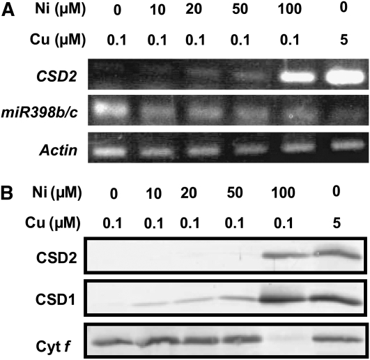 Figure 9.