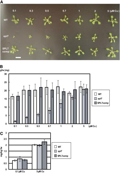 Figure 10.