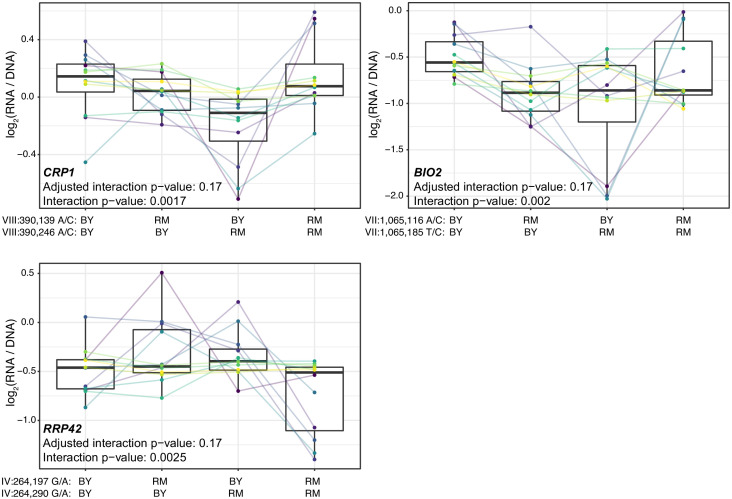 Figure 4—figure supplement 1.