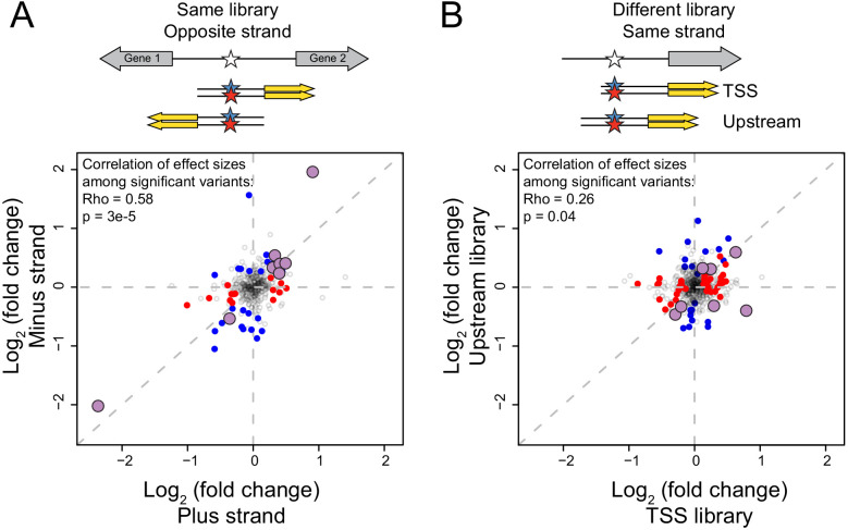 Figure 2—figure supplement 1.