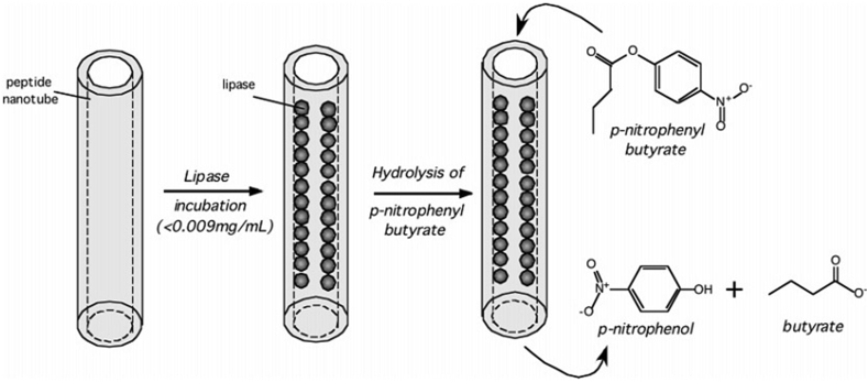 Figure 5