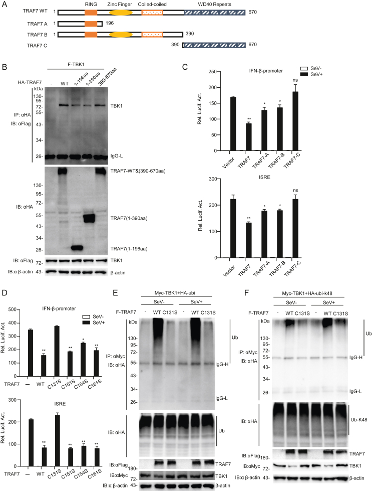 Fig. 6