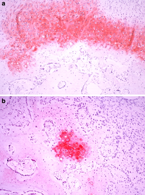 Fig. 8