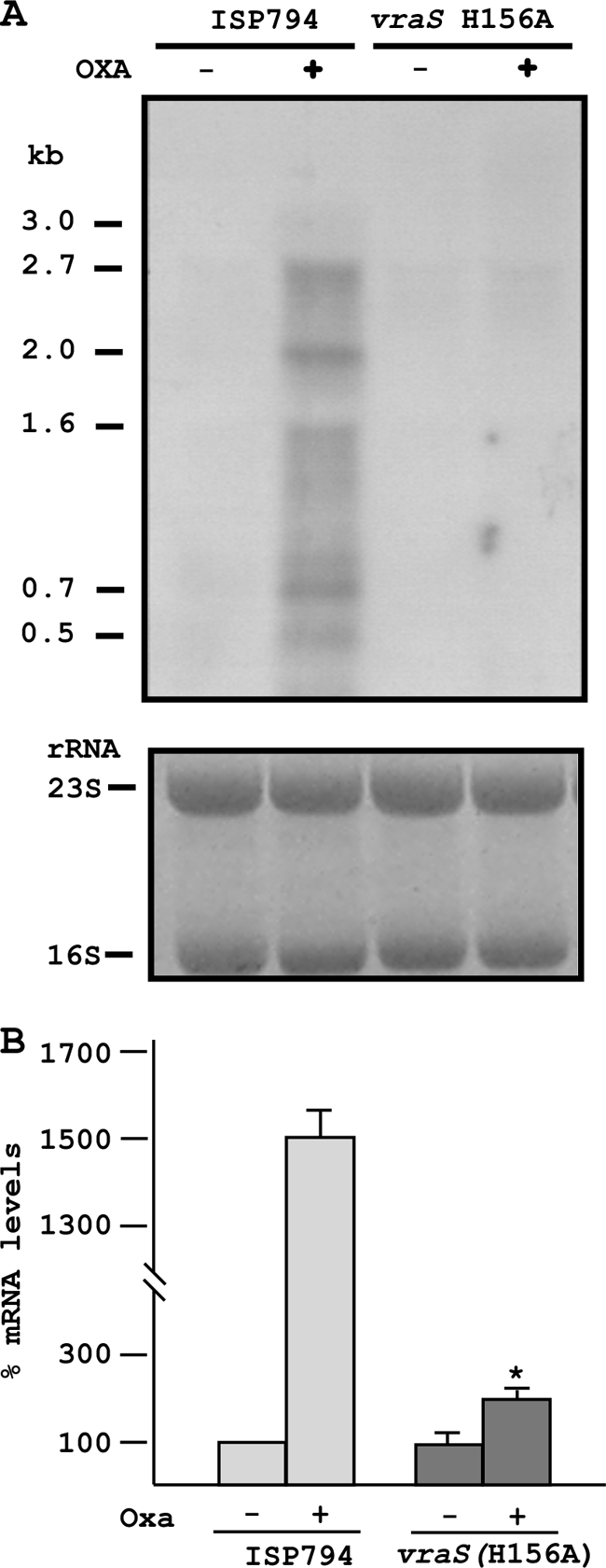 FIG. 5.