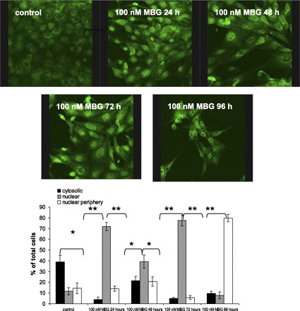 Fig. 9.