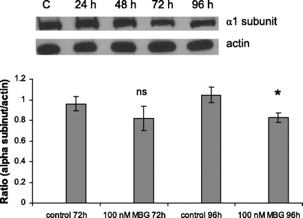 Fig. 11.