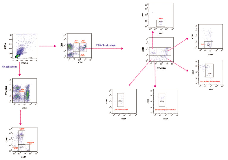 Fig.1