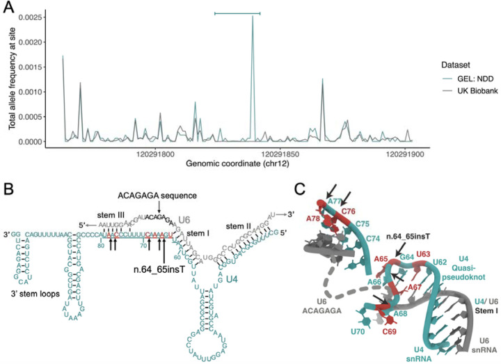 Figure 2: