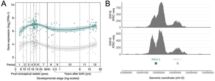 Figure 3: