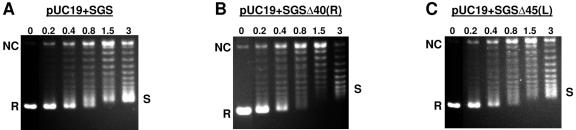 FIG. 3.