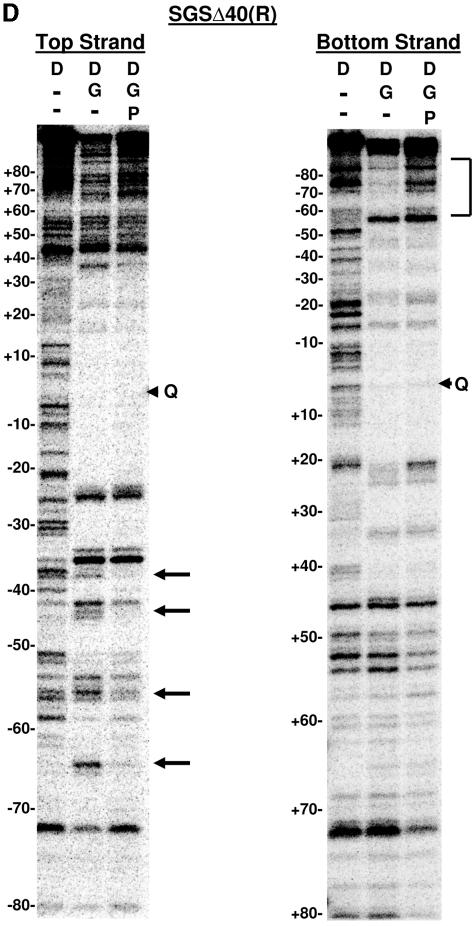 FIG. 6.