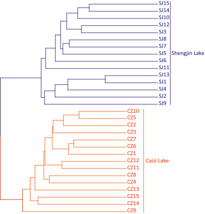 FIGURE 6