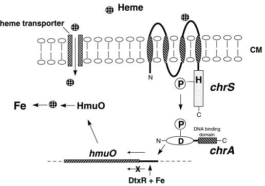 FIG. 5