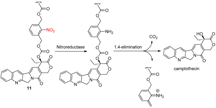 Scheme 13