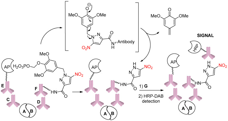 Scheme 23