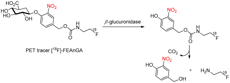 Scheme 22