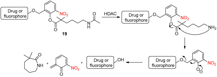 Scheme 24