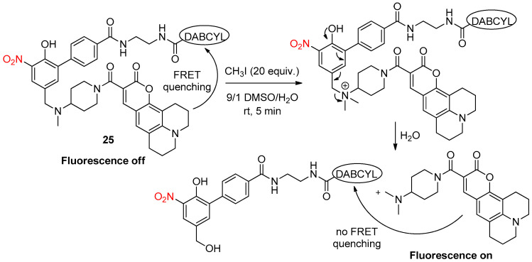 Scheme 28