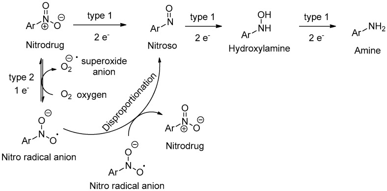 Scheme 5