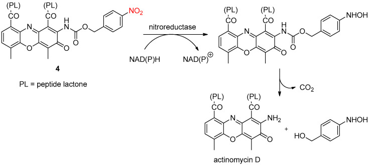 Scheme 6