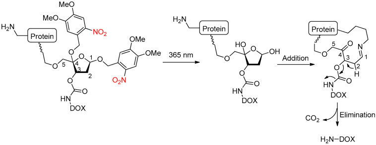 Scheme 12