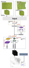 Fig. 9