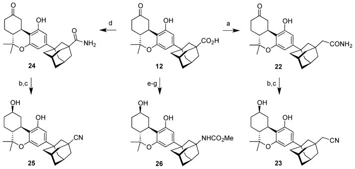 Scheme 4