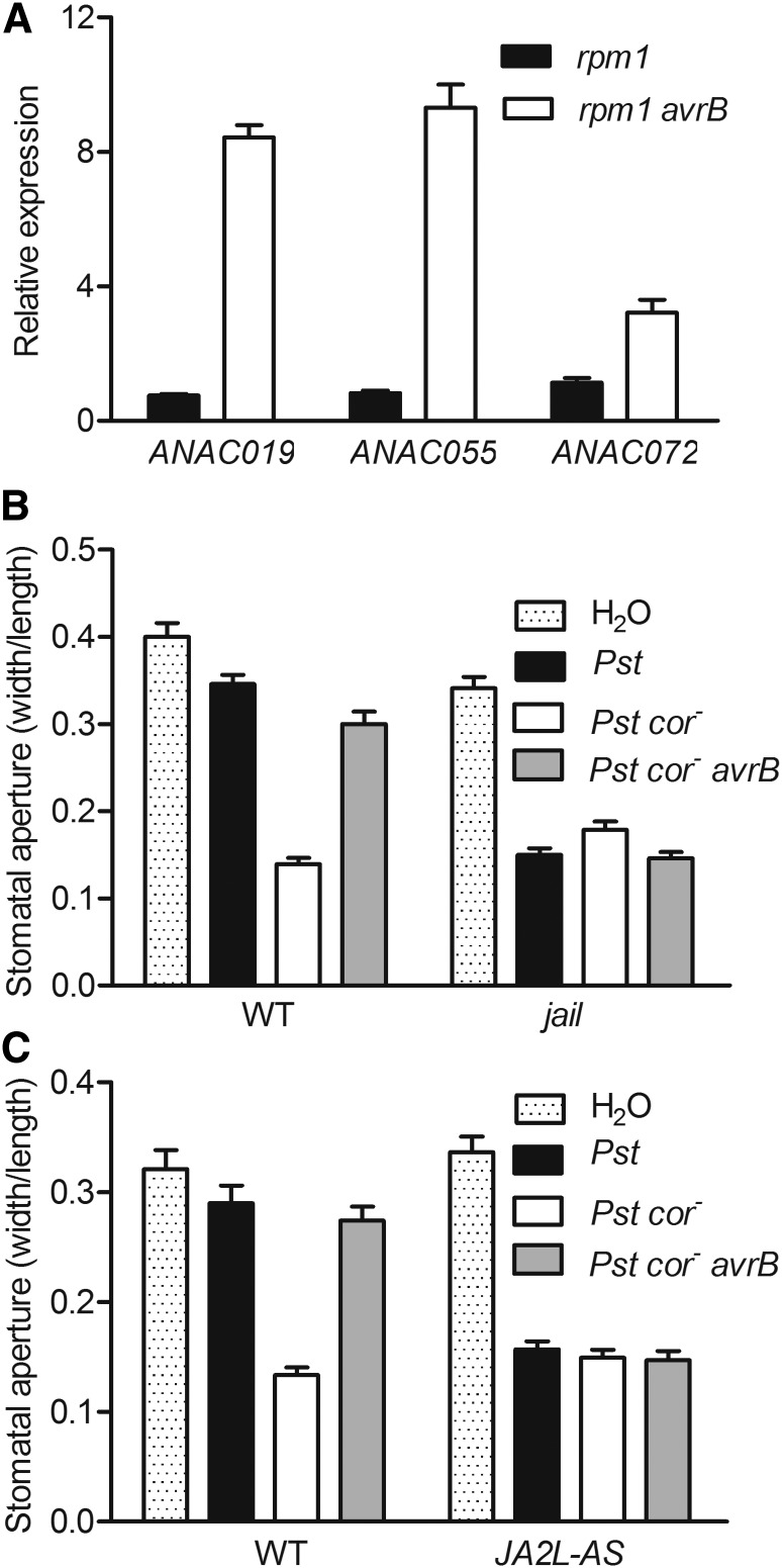 Figure 3.