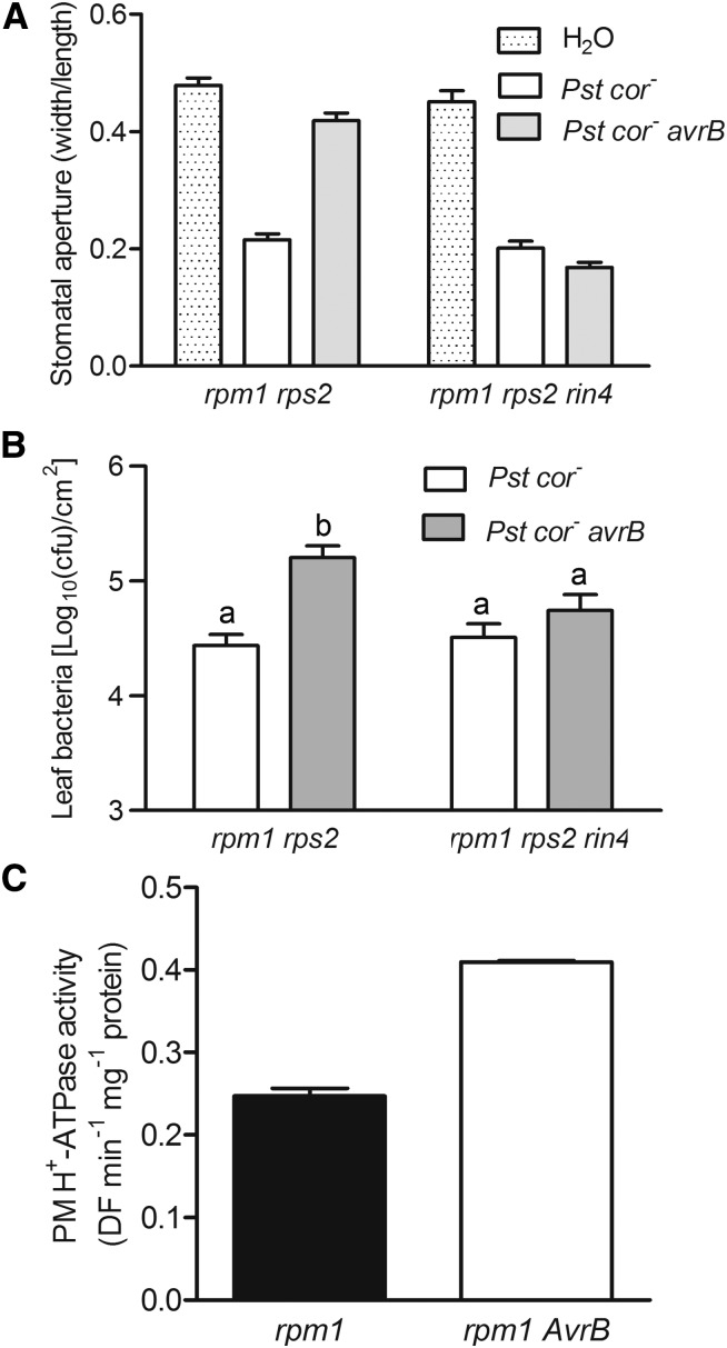 Figure 4.