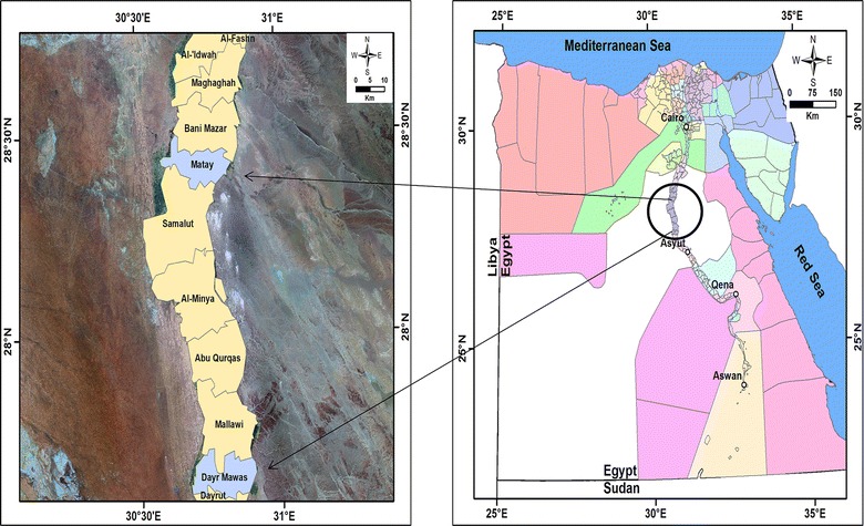 Fig. 1